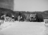 _DSC4684.jpg
