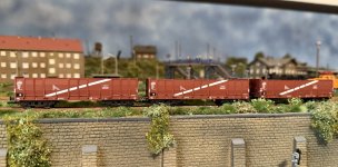 IMG_8023.jpeg