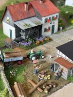 IMG_2517.jpeg