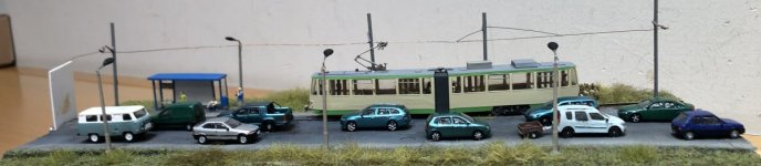 IMG_2557.jpeg
