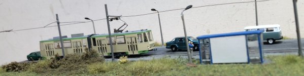 IMG_2558.jpeg