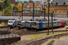 DSC05905-Verbessert-RR.jpg
