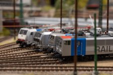 DSC05907-Verbessert-RR.jpg