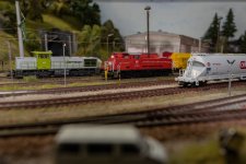 DSC05908-Verbessert-RR.jpg