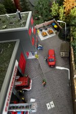 IMG_1329.jpeg