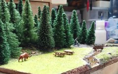 IMG_20260618_150346_699.jpg