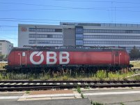 IMG_6246.jpeg