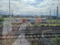 IMG_4231.jpeg