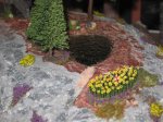 IMG_3681.JPG