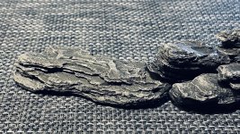 IMG_0497.jpg