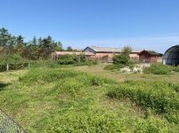 IMG_2051.jpeg