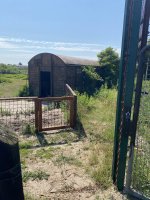IMG_2068.jpeg