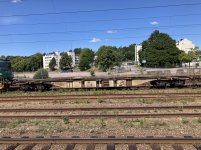 IMG_1995.jpeg