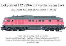 Portrait 132 229-6; Tillig 502442; Rbd Magdeburg; Bw Magdeburg Kopie.jpg