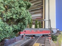 IMG_2481.jpeg