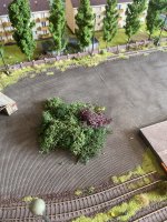 IMG_2473.jpeg