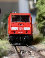 IMG_2163.jpeg