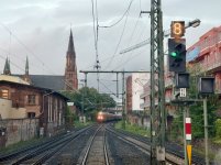 IMG_2989.jpeg