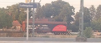 20260806_203451.jpg