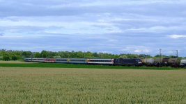 2011.06.23 182 534 bei Niederwalluf.JPG 2011.06.23 182 534 bei Niederwalluf.JPG