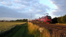 2012.06.23 bei Groß Gerau 2.JPG 2012.06.23 bei Groß Gerau 2.JPG