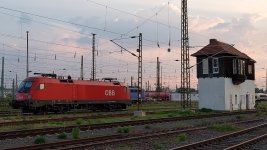 2020.08.09 1016 010 in LL.jpg