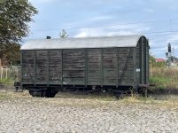 IMG_6712.jpeg
