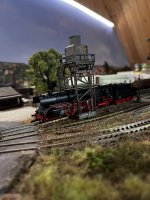 IMG_4155.jpeg