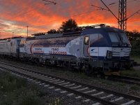 IMG_6785.jpeg