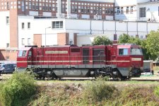 IMG_9419.JPG