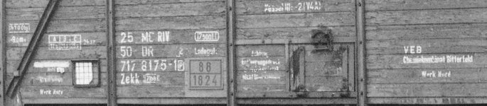 7178175a.JPG