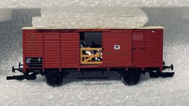 IMG_0813.jpeg