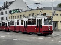 IMG_7308.jpeg