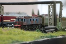 IMG_3910.JPG