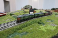 IMG_3979.JPG