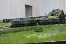 IMG_3981.JPG