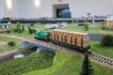 IMG_4003.JPG