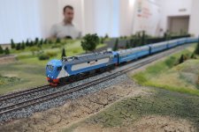 IMG_4005.JPG