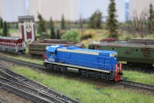 IMG_4007.JPG