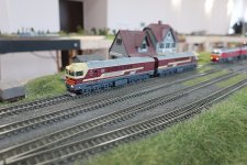 IMG_4011.JPG