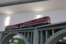 IMG_4034.JPG