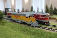 IMG_4030.JPG