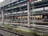 IMG_5715.jpeg
