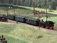 IMG_2622.jpeg