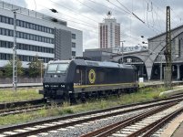 IMG_7485.jpeg