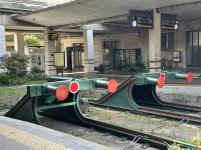 IMG_1584.jpeg