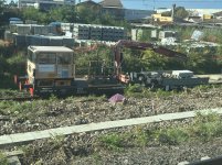 IMG_1484.jpeg