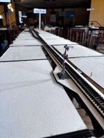 IMG_8845.jpeg