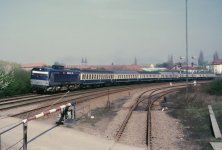 hen_31404_04.jpg