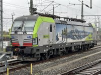 IMG_7548.jpeg